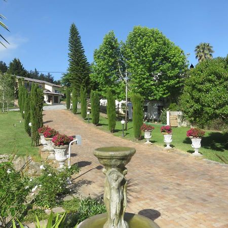 Cul De Sac - Accommodation Джордж Экстерьер фото
